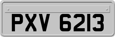 PXV6213