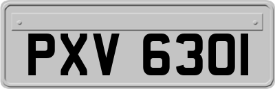 PXV6301