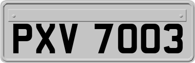 PXV7003