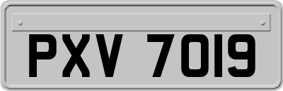 PXV7019