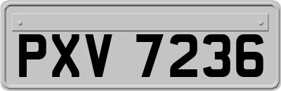 PXV7236