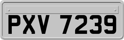 PXV7239