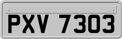 PXV7303