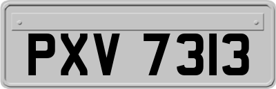 PXV7313