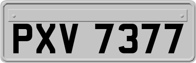 PXV7377