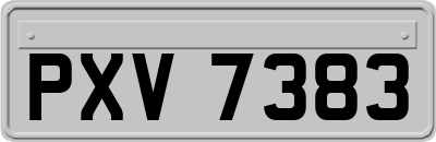 PXV7383