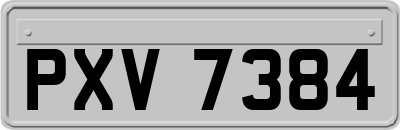 PXV7384