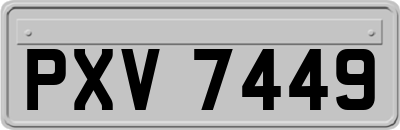 PXV7449