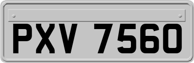 PXV7560