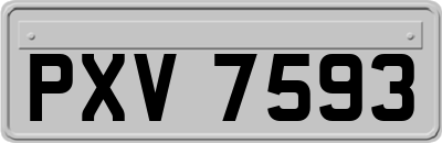 PXV7593