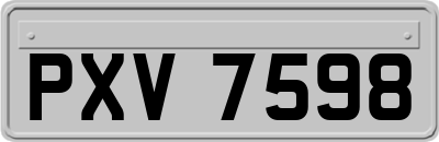 PXV7598