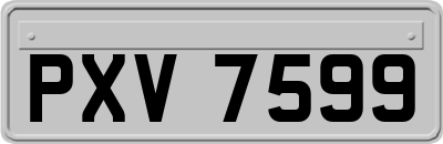 PXV7599