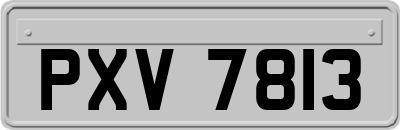 PXV7813