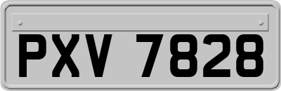 PXV7828