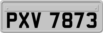 PXV7873