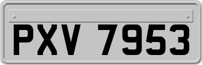 PXV7953