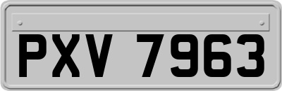 PXV7963