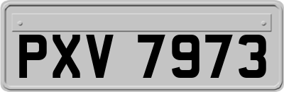 PXV7973