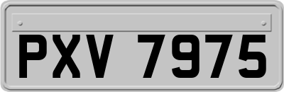 PXV7975