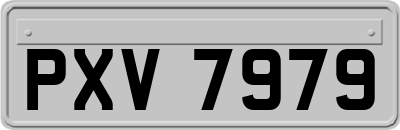 PXV7979