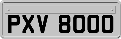 PXV8000