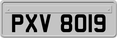 PXV8019