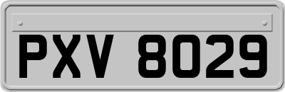 PXV8029