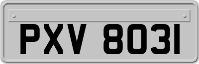 PXV8031