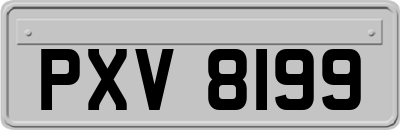 PXV8199