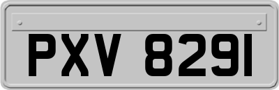 PXV8291