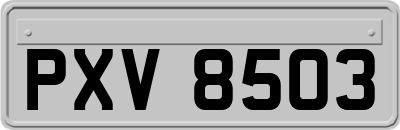 PXV8503