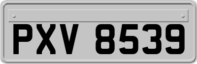 PXV8539