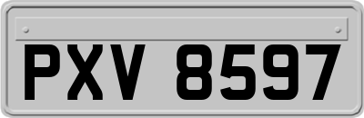 PXV8597