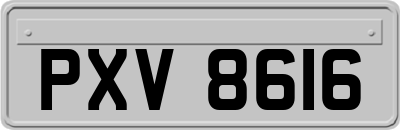 PXV8616