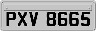 PXV8665