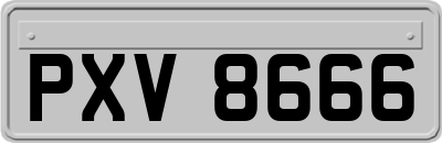 PXV8666