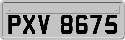 PXV8675