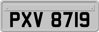 PXV8719