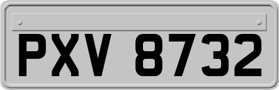 PXV8732