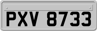 PXV8733