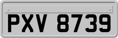 PXV8739