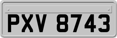 PXV8743