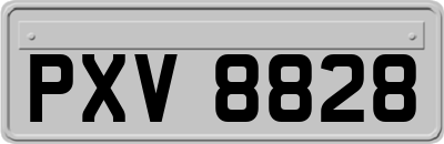 PXV8828