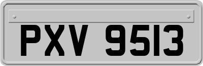 PXV9513