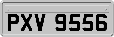 PXV9556