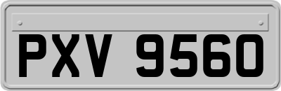 PXV9560