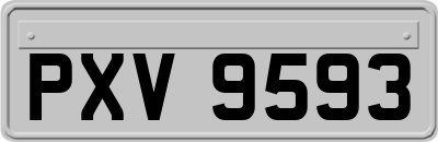 PXV9593