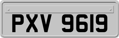 PXV9619