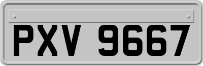 PXV9667