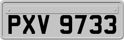 PXV9733